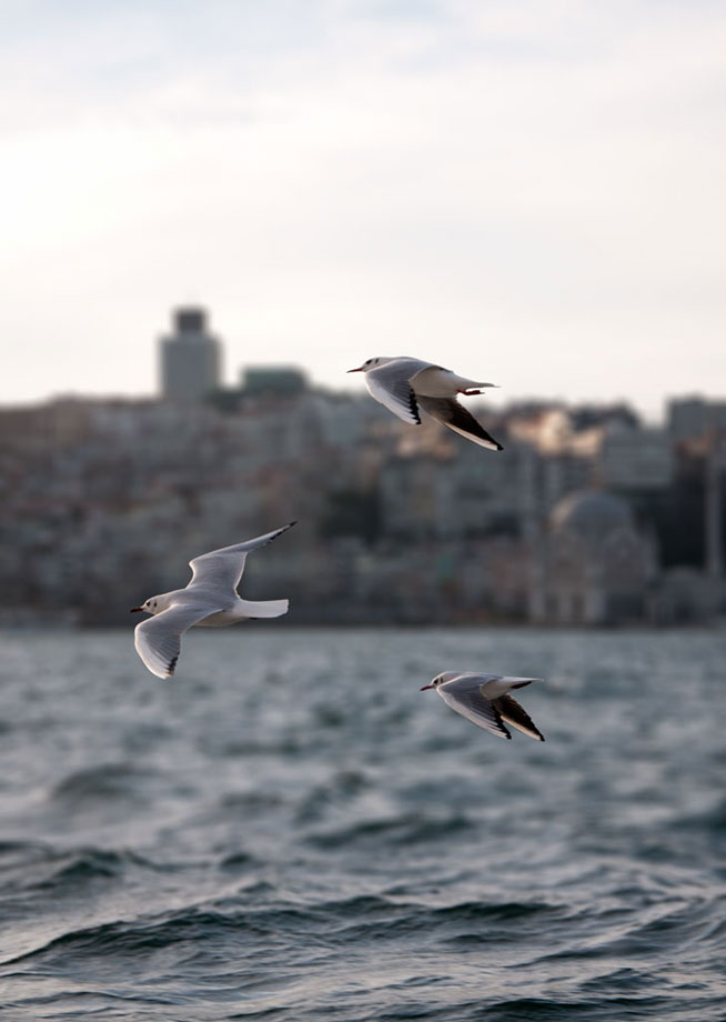 Alçak uçuş